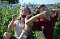 Kids_BlueBonnets_2012 (33)